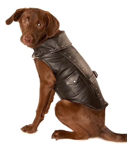 dog jackets black leather motorcycle dog jacket PWXXYPH