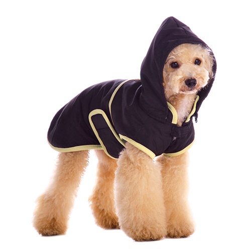 The man’s best friend and dog jackets