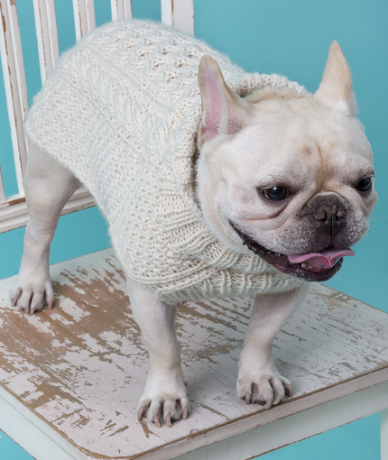 dog sweater knitting pattern cabled dog sweater | red heart PIMLPCH