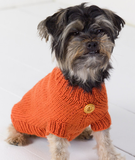 dog sweater knitting pattern dog sweater | red heart QSGCNKL