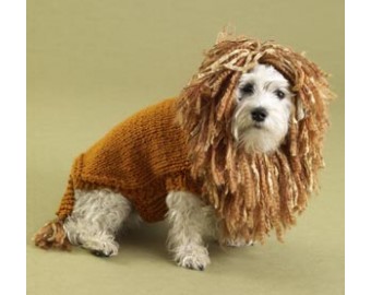 dog sweater knitting pattern king of the beasts lion dog sweater pattern (knit) HXBYSWT
