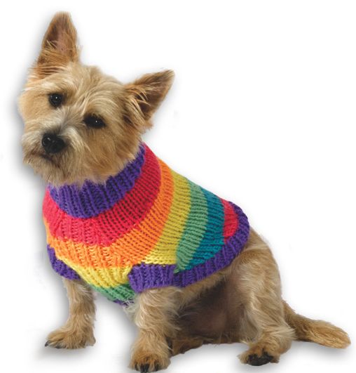 dog sweater knitting pattern rainbow dog sweater MTUGXWI