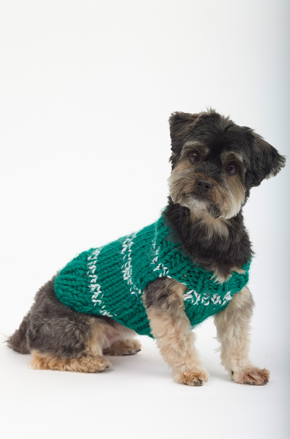 dog sweater knitting pattern top 5 free dog sweater knitting patterns, on the loveknitting blog! MGDOXGU