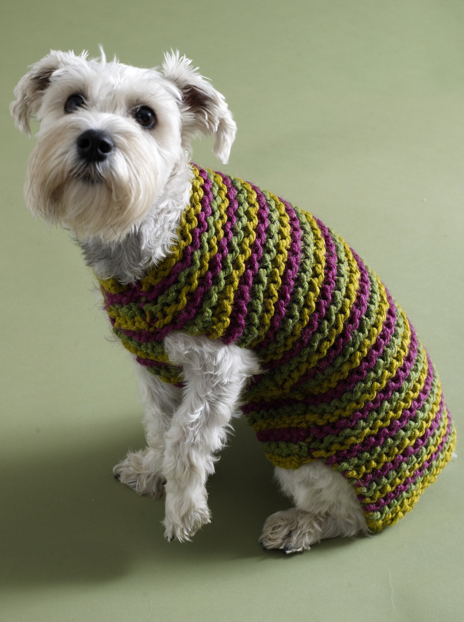 knitted dog coats 5 free dog sweater knitting patterns - on the loveknitting blog! PVPOFWG