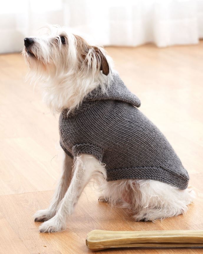 knitted dog coats sparkyu0027s favorite knit sweater | allfreeknitting.com EDVNWTD