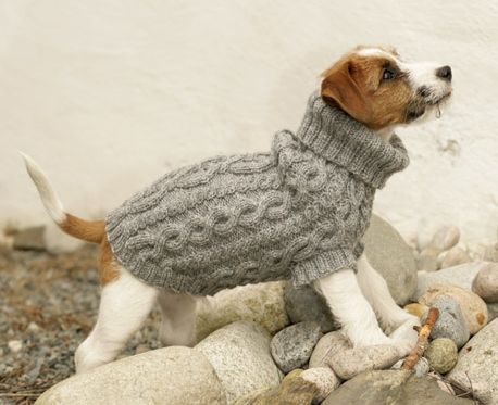 knitted dog coats top 5 free dog sweater knitting patterns JXYTMDX