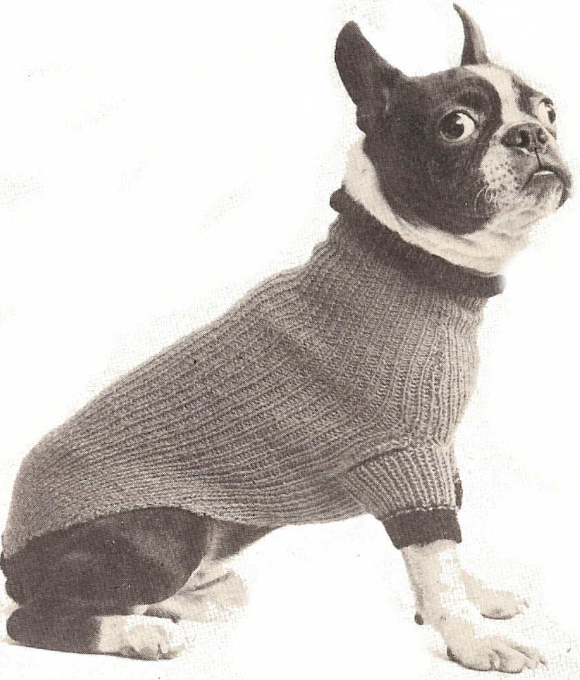 knitted dog coats u003ebutton up dog coat. u003e PJLICSJ