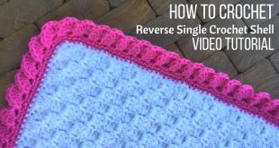 How to Crochet the Reverse Shell Border Using Single Crochet - YouTube
