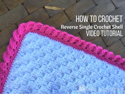 How to Crochet the Reverse Shell Border Using Single Crochet - YouTube