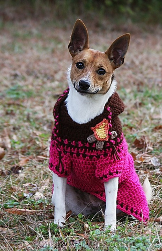 Ravelry: Custom-Fit Crochet Dog Sweaters - patterns