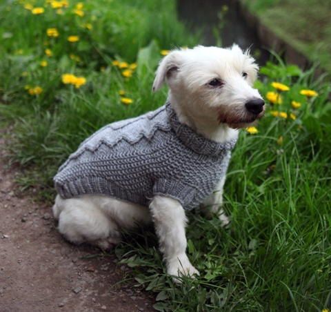 Cable Knit Dog Sweater Pattern Free | Knitting | Pinterest | Dog