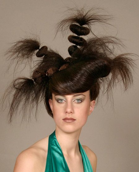 Another 13 Craziest Hairstyles - crazy hairstyle, crazy hair | Wild